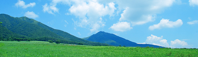 プライバシーポリシー